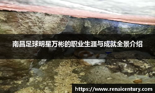 南昌足球明星万彬的职业生涯与成就全景介绍